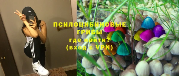 мяу мяу мука Кукмор