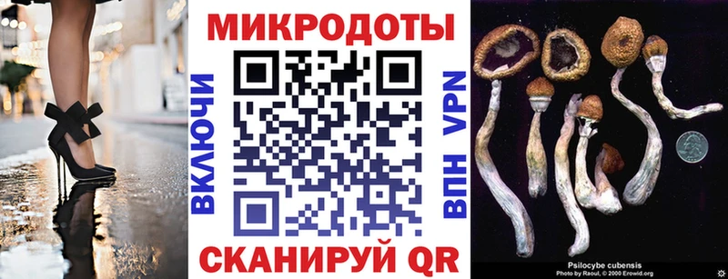 Галлюциногенные грибы Psilocybine cubensis  Купить где  Люберцы 